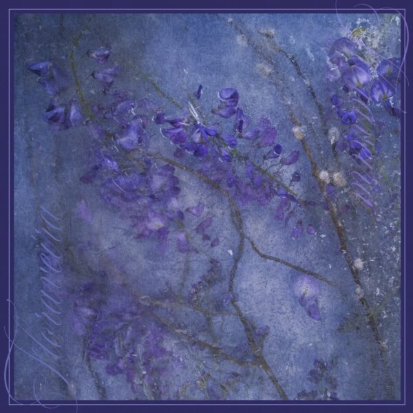 Limited Edition Prints - Image 9