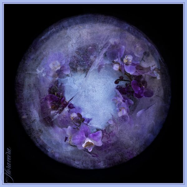 Limited Edition Prints - Image 8