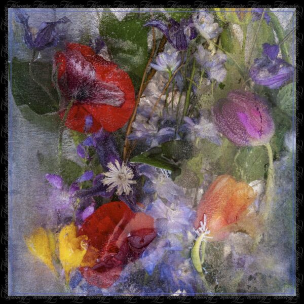 Limited Edition Prints - Image 6