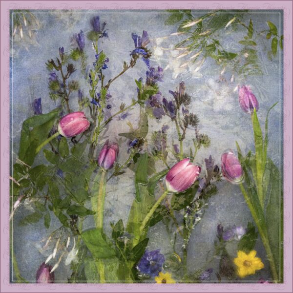 Limited Edition Prints - Image 5