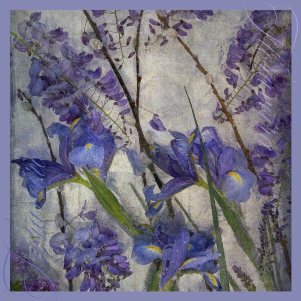 Limited Edition Prints - Image 3