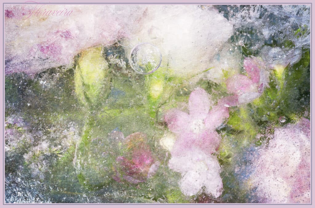 Floraveira - Manet's Palette Shawl