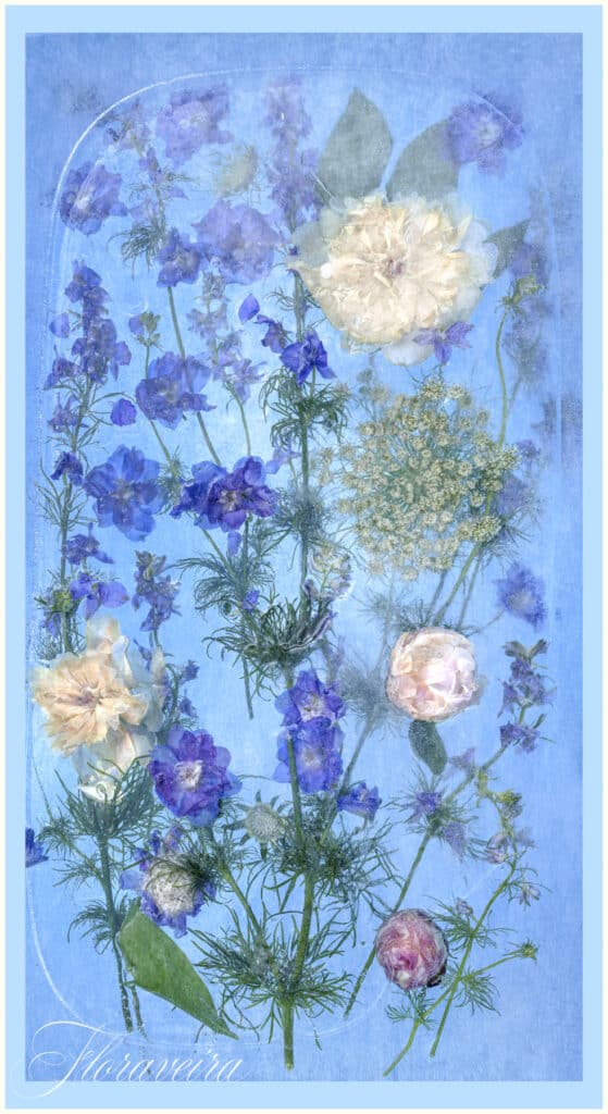 Floraveira - Pool Larkspur Shawl