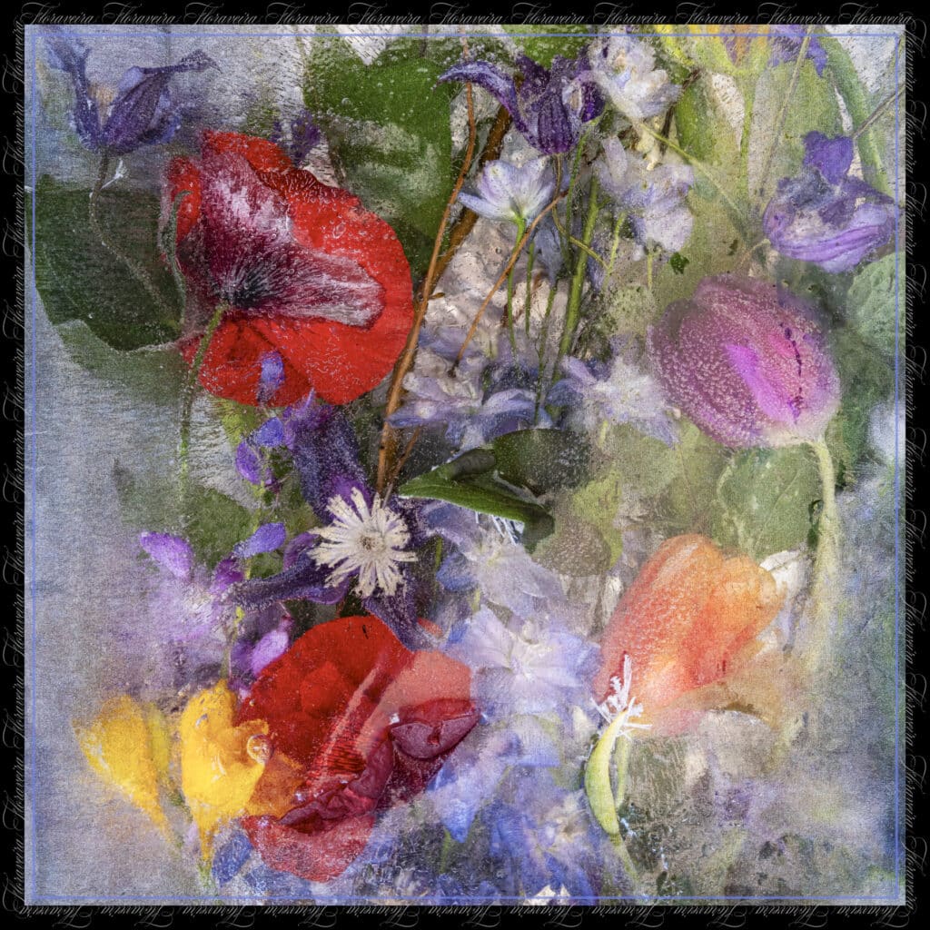 Floraveira - Spring Poppy Scarf