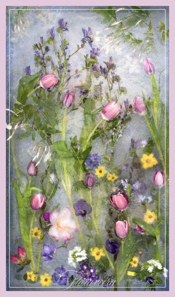 Floraveira - Tulips Scarf