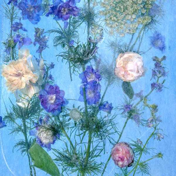 Floraveira - Pool Larkspur Shawl