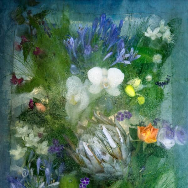 Floraveira - Tropical I Shawl