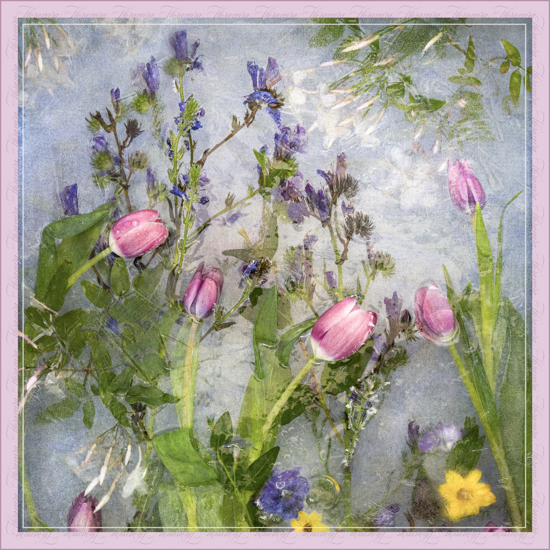 Floraveira - Tulips Scarf