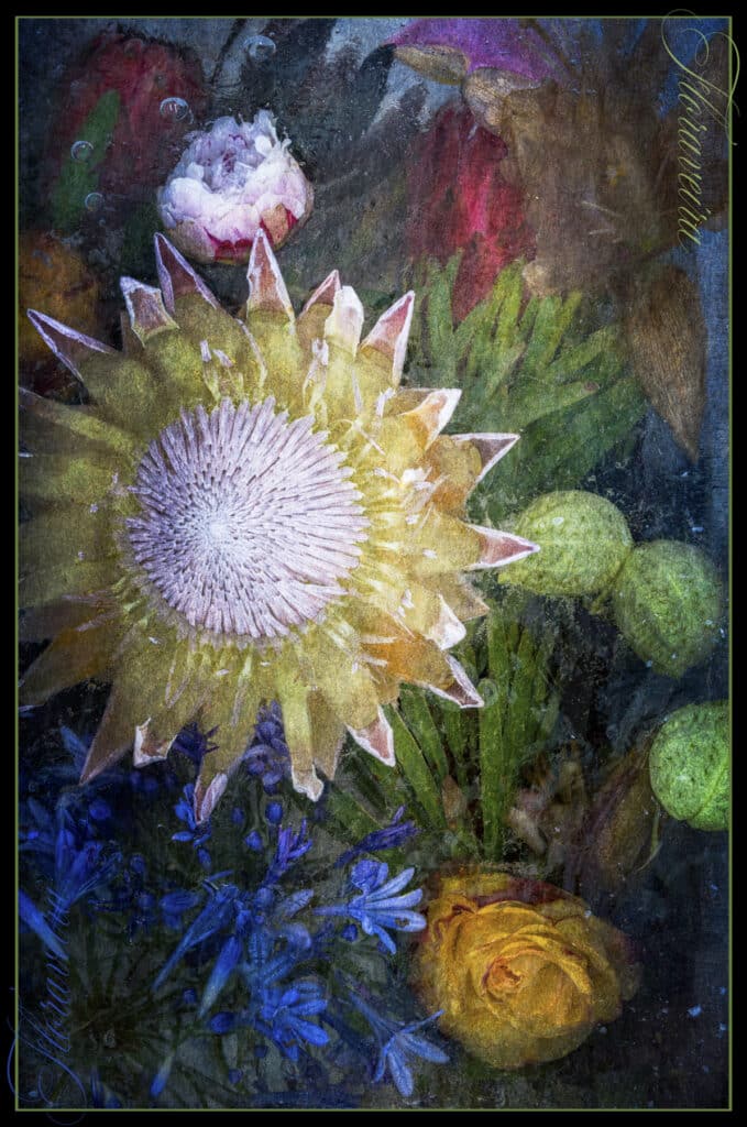 Protea