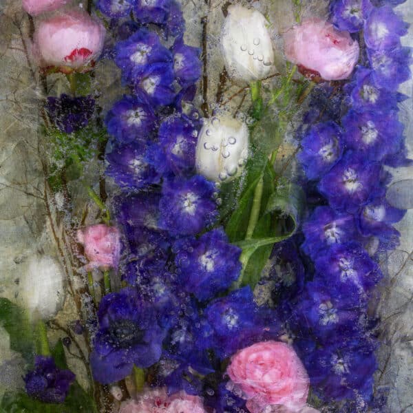 Delphinium with Peonies and Tulips