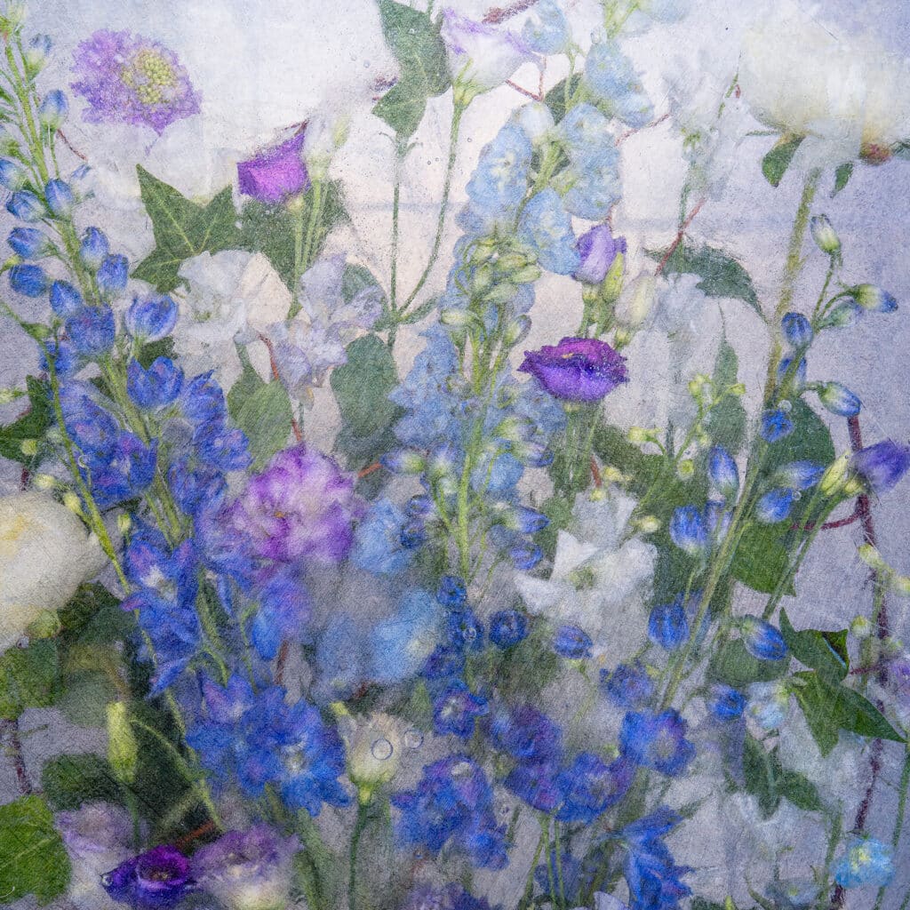 My Window Box
