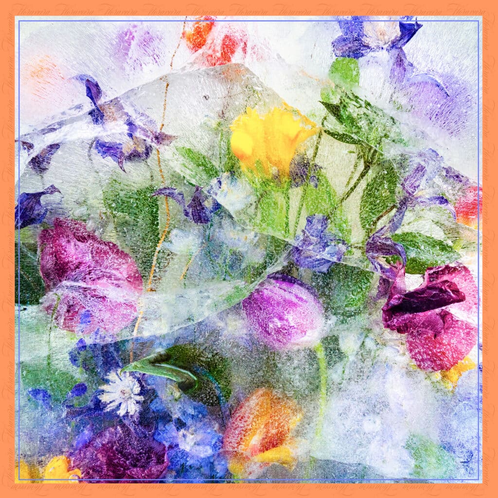 Fractured Poppies