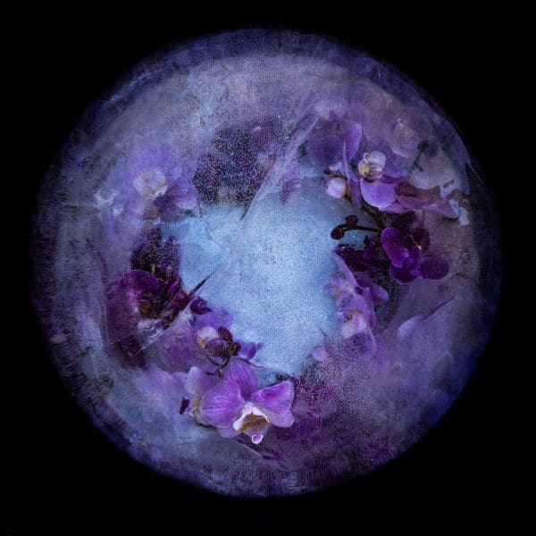 Blueberry World