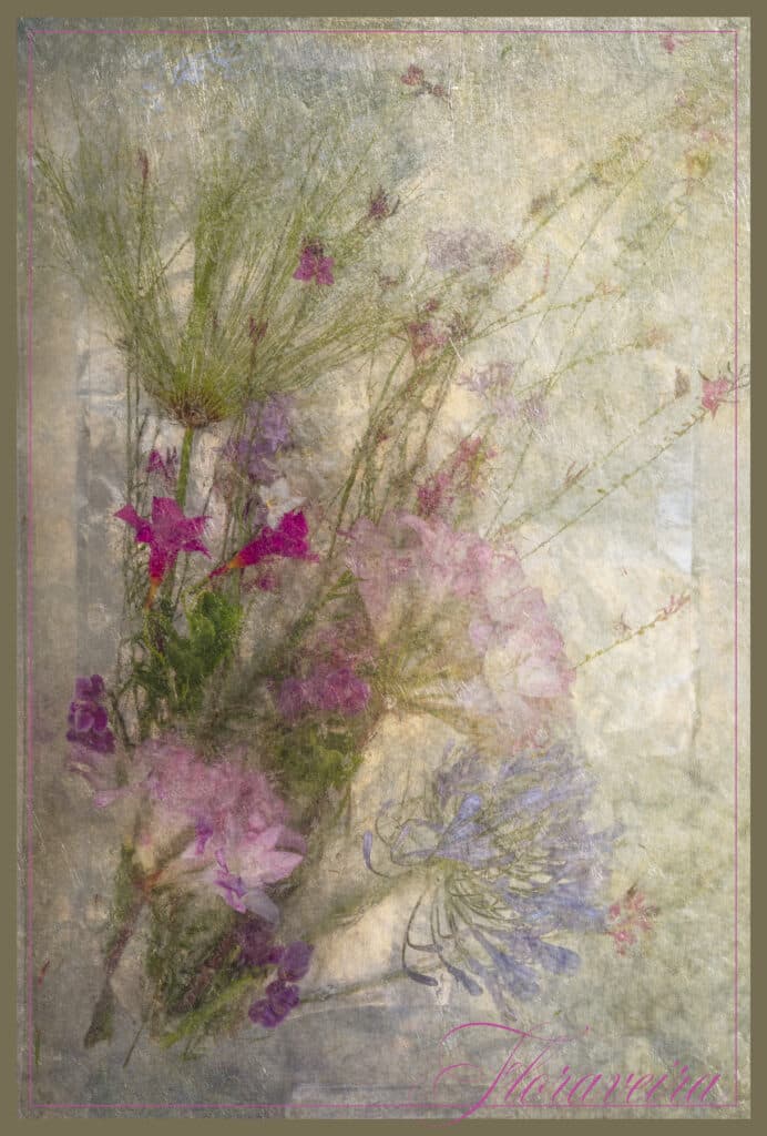 Sabines Flowers