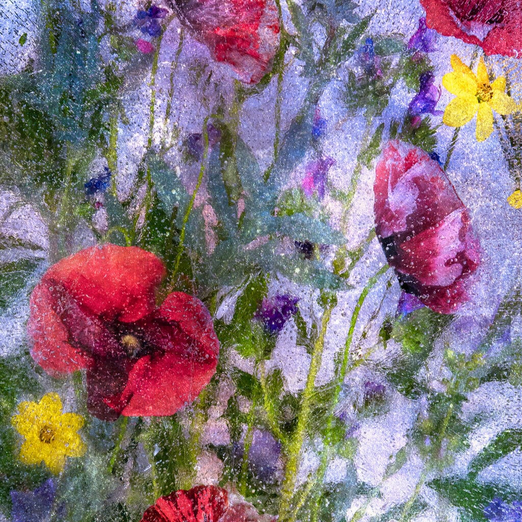Skinny Wildflowers and Poppies