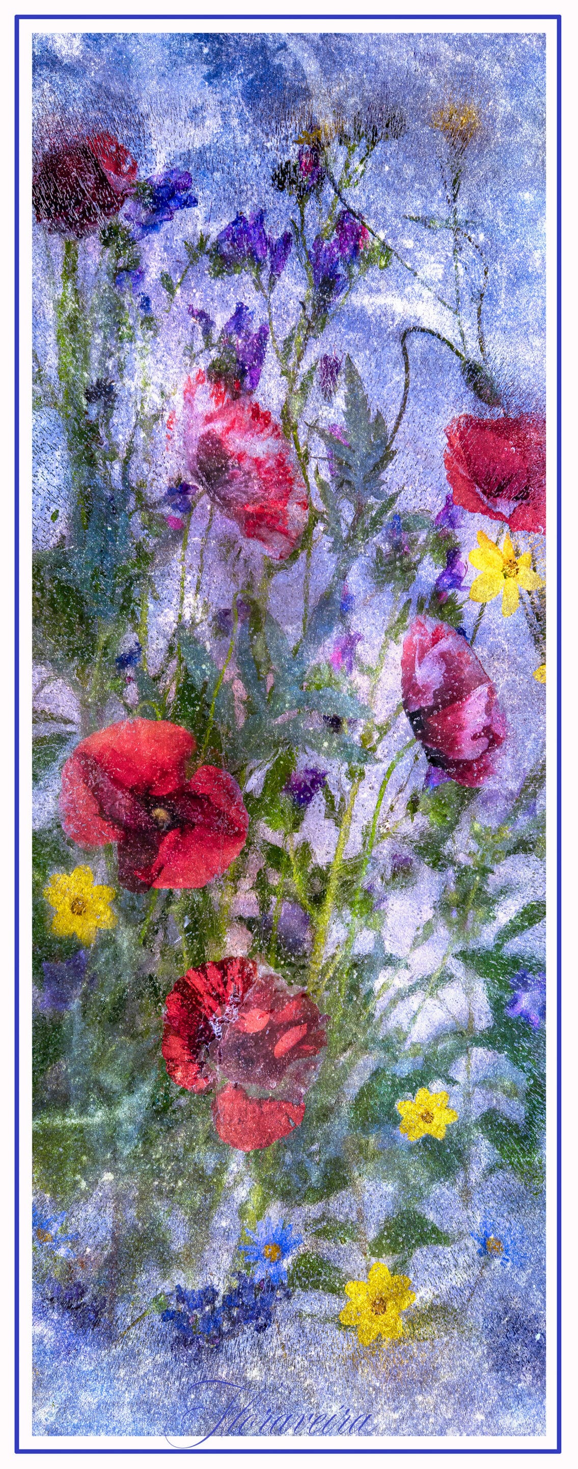 Skinny Wildflowers and Poppies