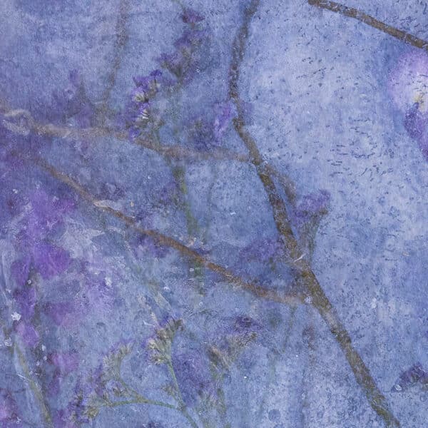 Skinny My Favorite Wisteria