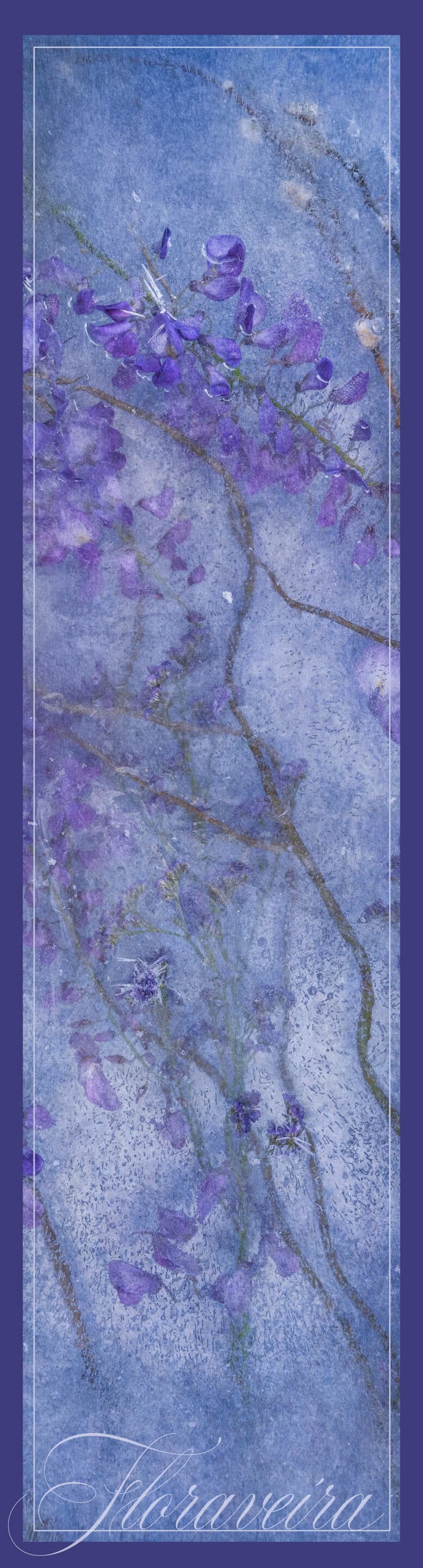 Skinny My Favorite Wisteria