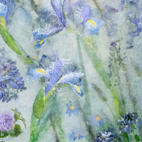 Skinny Wisteria, Iris, Pussy Willow on White