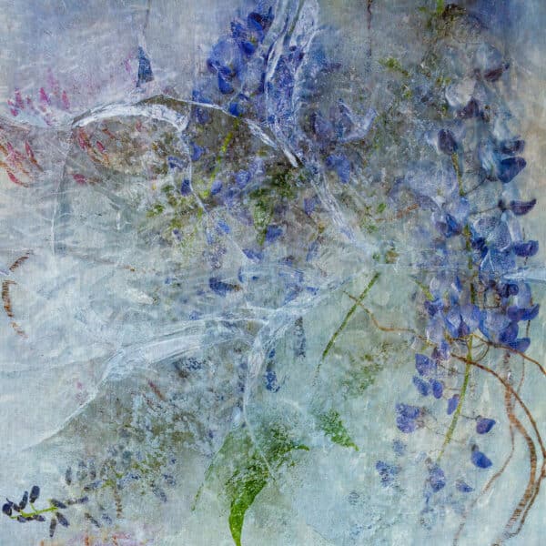 Jasmine Wisteria 1