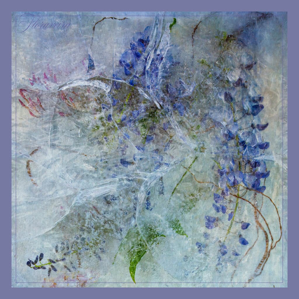 Jasmine Wisteria 1